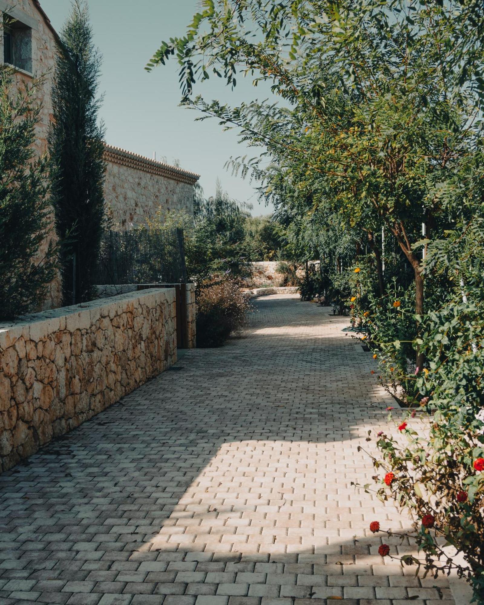 Papadria Villas - Modern Luxury Villas Near Kathisma Beach Tsoukaládhes المظهر الخارجي الصورة